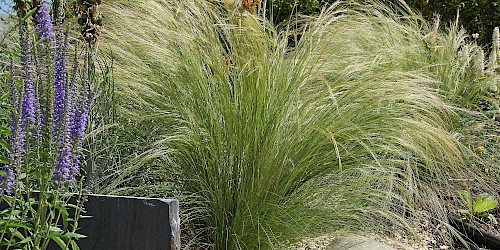 Planung und Gestaltung mit Pflanzen